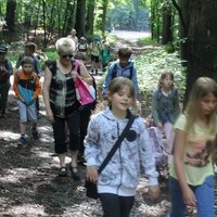 Kinder (mit Erwachsener / Erzieherin) laufen durch einen Wald